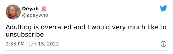 Adulthood Tweets (25 pics)