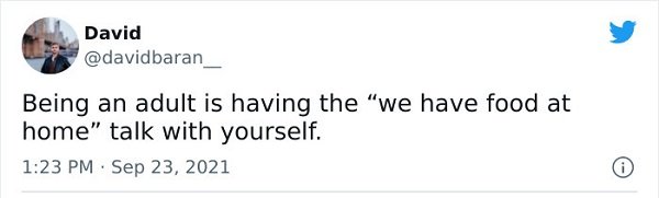 Adulthood Tweets (25 pics)
