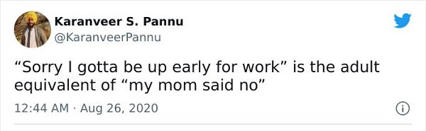 Adulthood Tweets (25 pics)