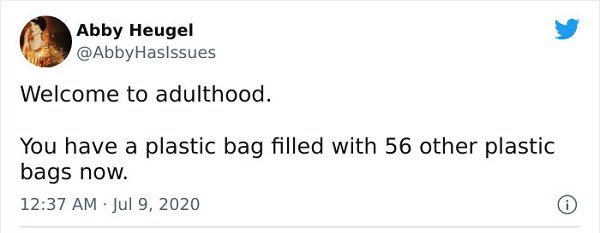 Adulthood Tweets (25 pics)