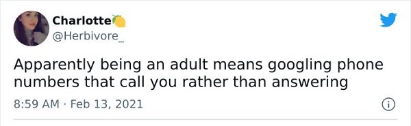 Adulthood Tweets (25 pics)