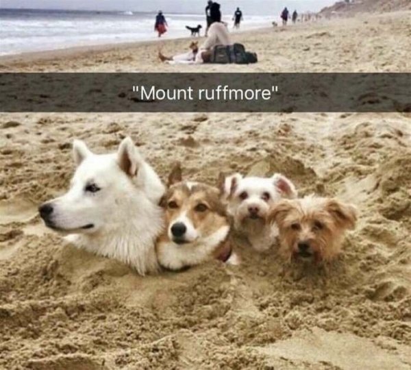 Random Funny Memes (24 pics)