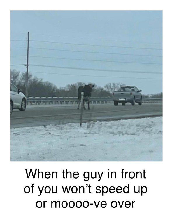 Random Funny Memes (24 pics)