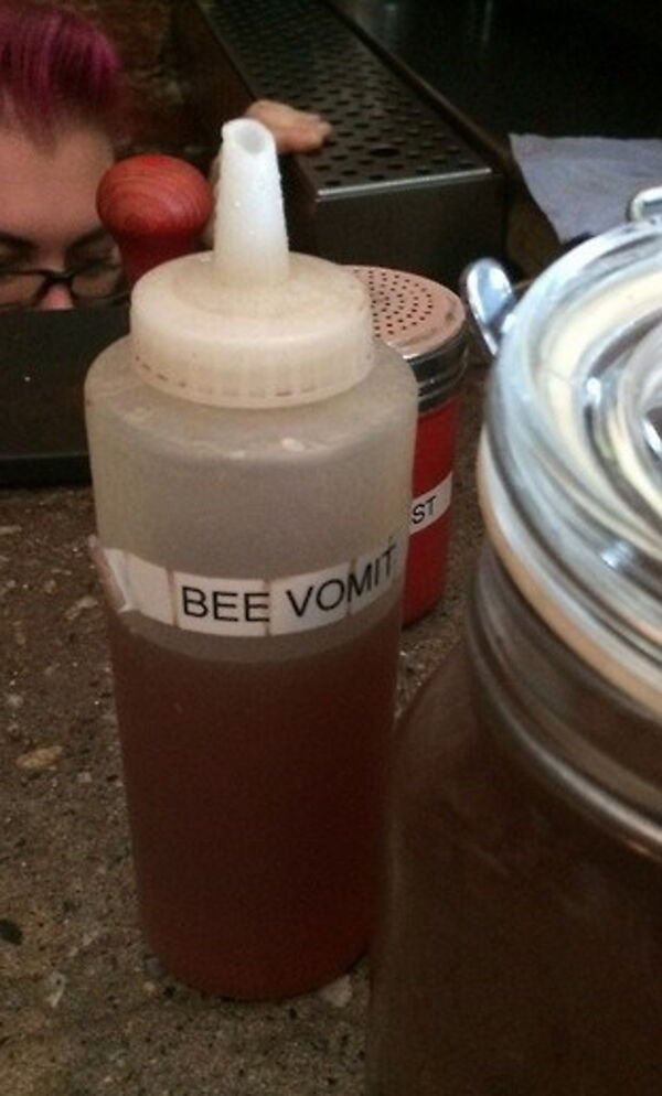 OMG Pictures (31 pics)