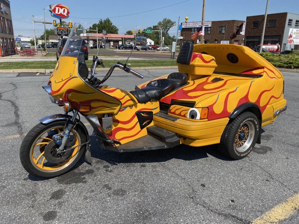 OMG Pictures (31 pics)