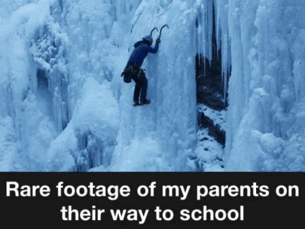 Random Funny Memes (24 pics)