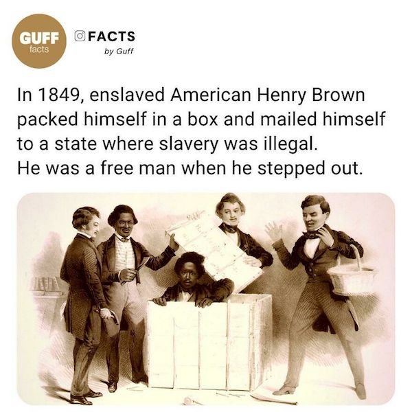 Curious Facts (25 pics)