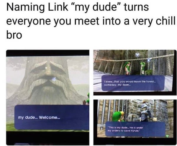 Pictures For Gamers (43 pics)