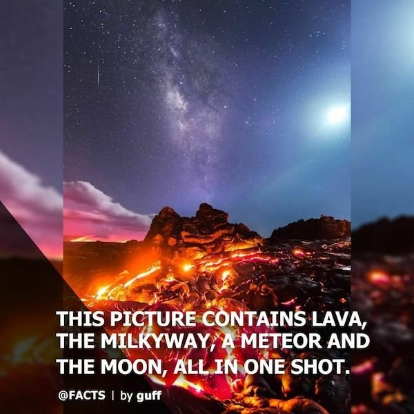 Curious Facts (25 pics)
