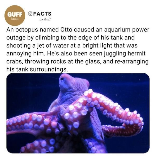 Curious Facts (25 pics)