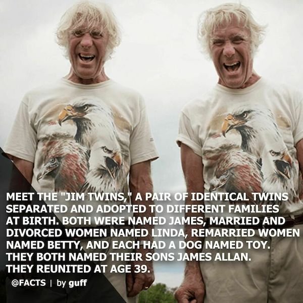 Curious Facts (25 pics)