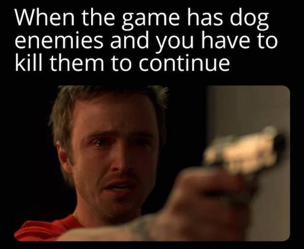 Pictures For Gamers (43 pics)