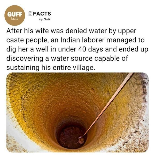 Curious Facts (25 pics)