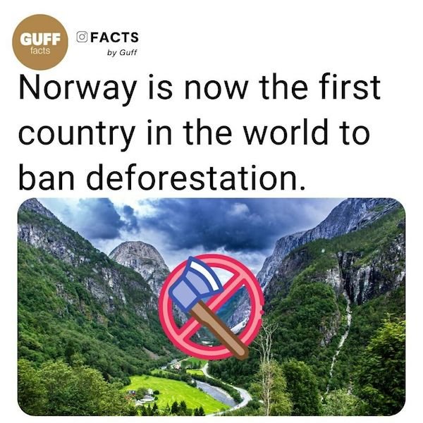 Curious Facts (25 pics)