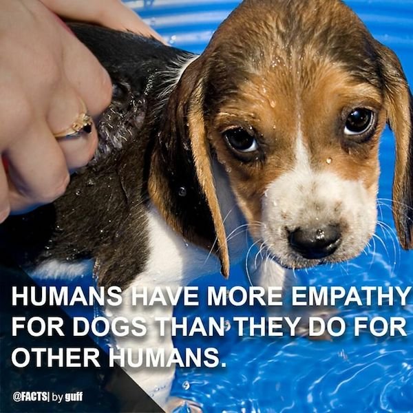 Curious Facts (25 pics)