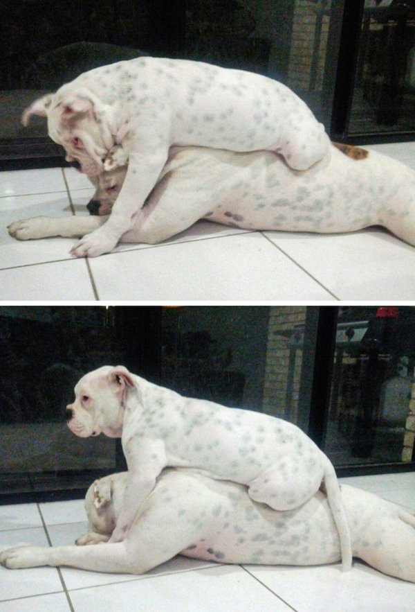 Wholesome Stories (21 pics) Wholesome Stories (21 pics)