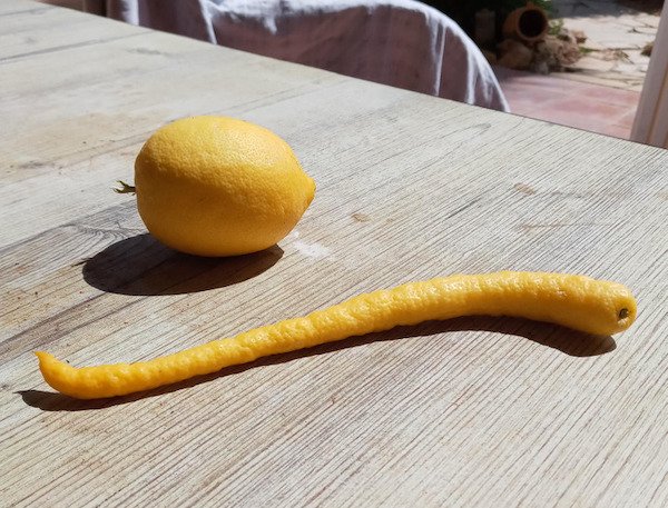 Wonders Of Nature (26 pics) Wonders Of Nature (26 pics)