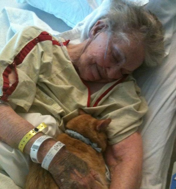 Wholesome Stories (21 pics) Wholesome Stories (21 pics)