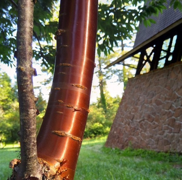 Wonders Of Nature (26 pics) Wonders Of Nature (26 pics)