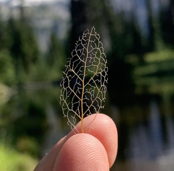 Wonders Of Nature (26 pics) Wonders Of Nature (26 pics)