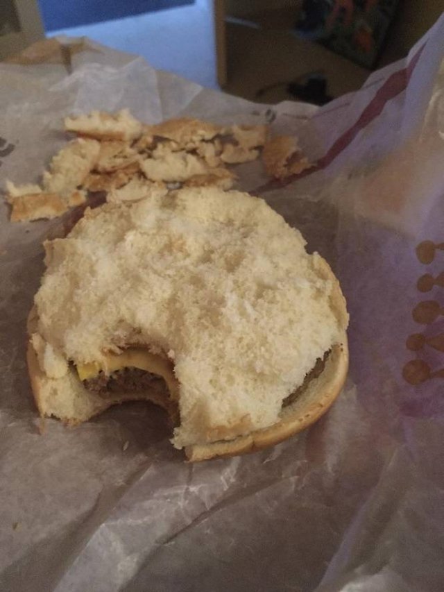 Things That Annoy Everyone (17 pics)
