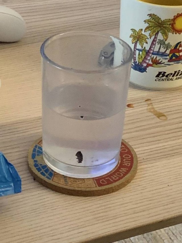 Things That Annoy Everyone (17 pics)