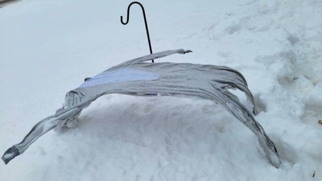 Very Cold Photos (38 pics)