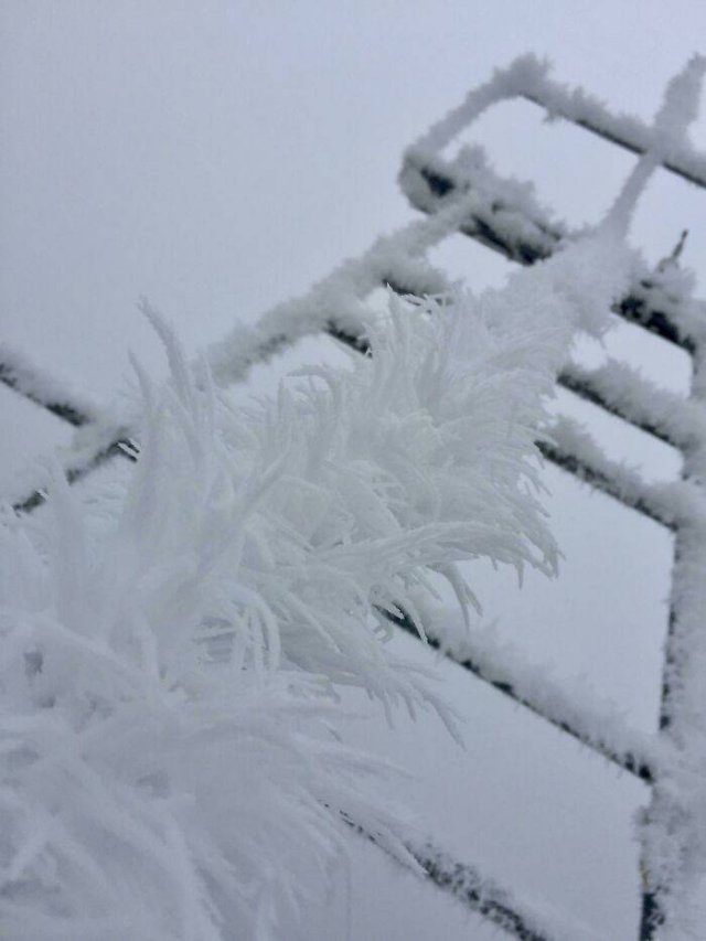 Very Cold Photos (38 pics)