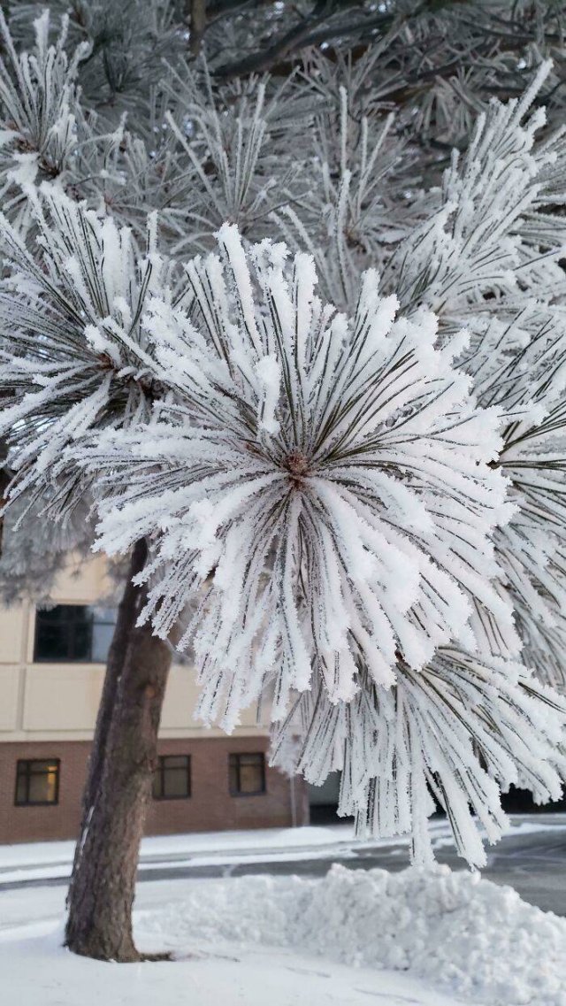 Very Cold Photos (38 pics)