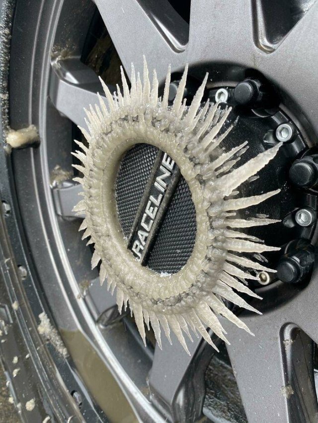 Very Cold Photos (38 pics)
