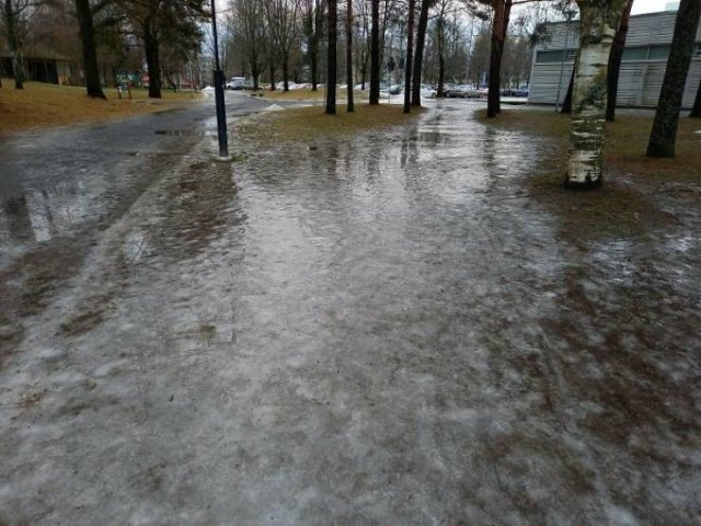 Very Cold Photos (38 pics)