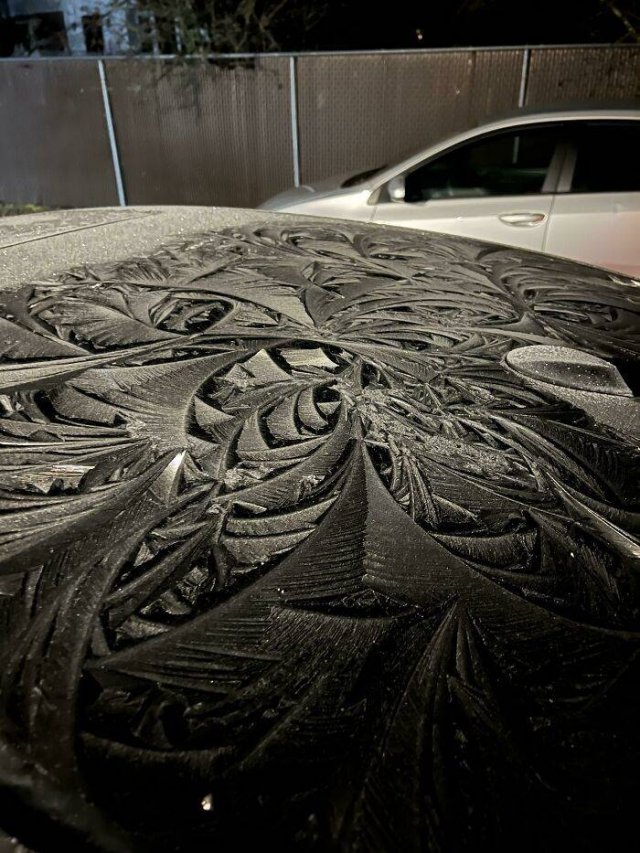 Very Cold Photos (38 pics)