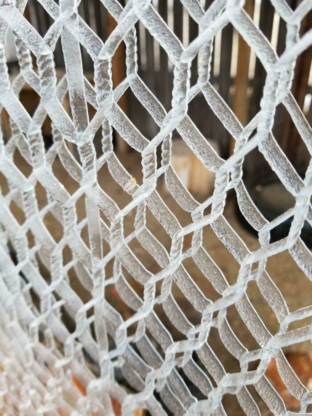 Very Cold Photos (38 pics)