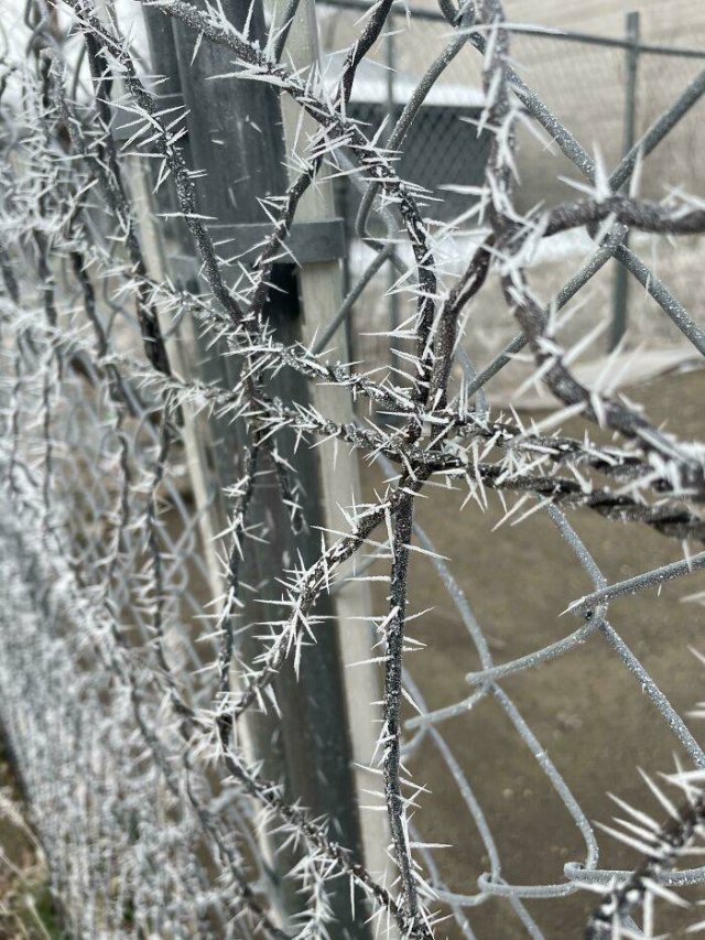 Very Cold Photos (38 pics)