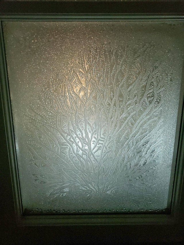 Very Cold Photos (38 pics)