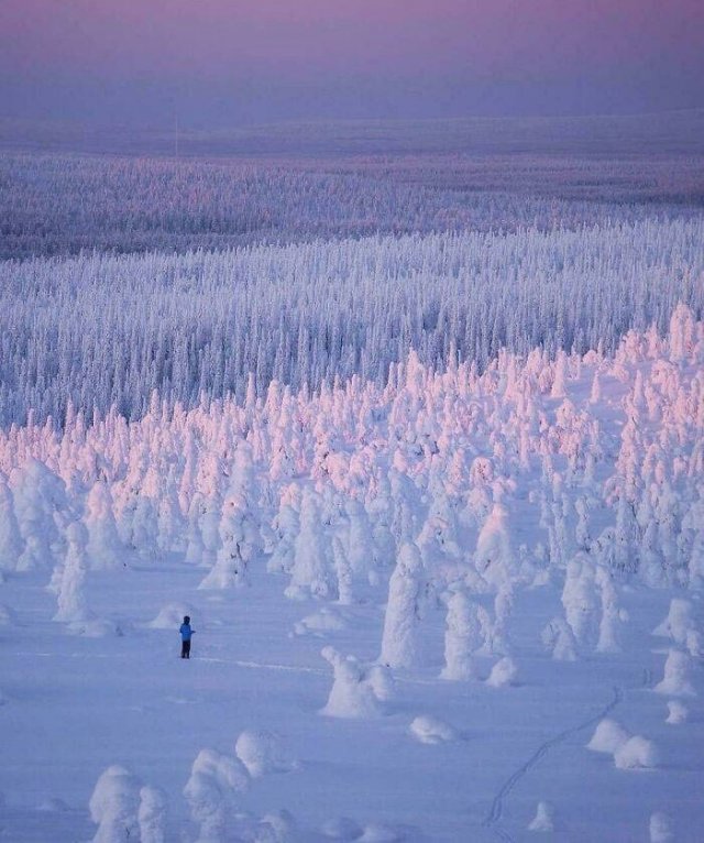 Very Cold Photos (38 pics)