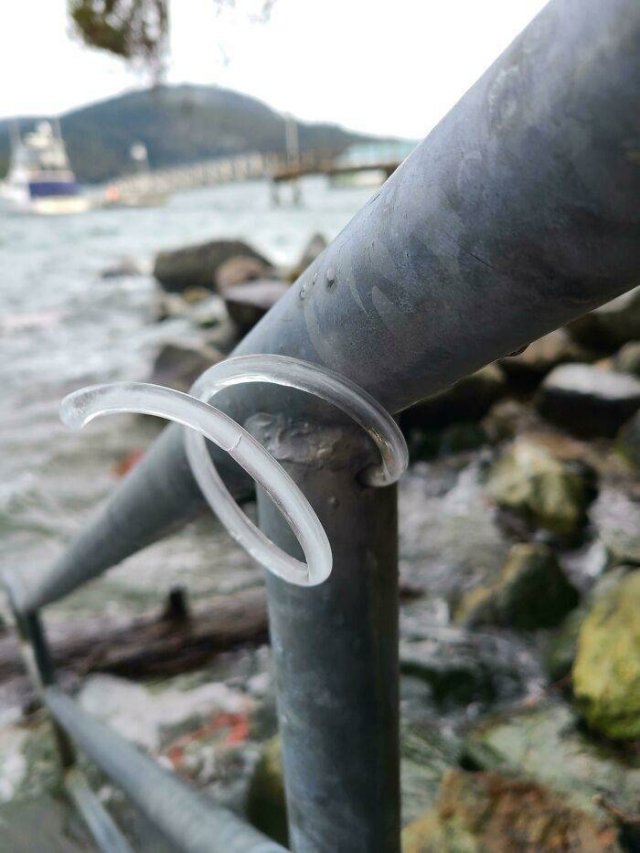 Very Cold Photos (38 pics)