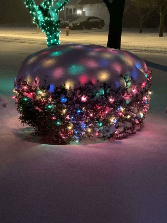 Very Cold Photos (38 pics)