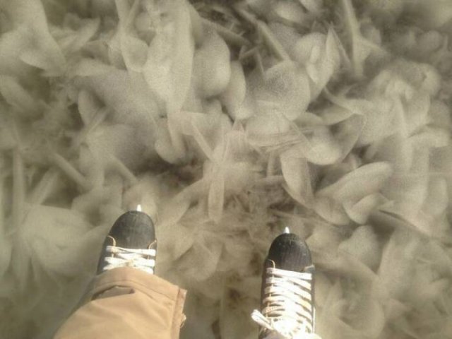 Very Cold Photos (38 pics)