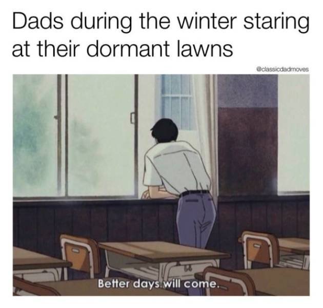 Memes About Dads (28 pics)