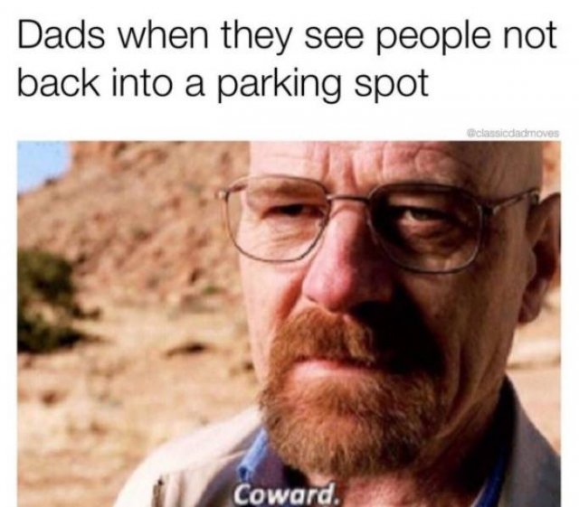 Memes About Dads (28 pics)