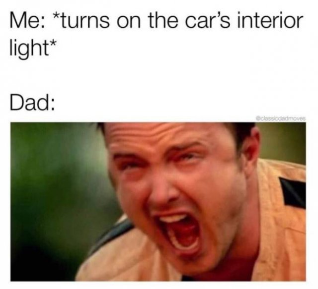 Memes About Dads (28 pics)