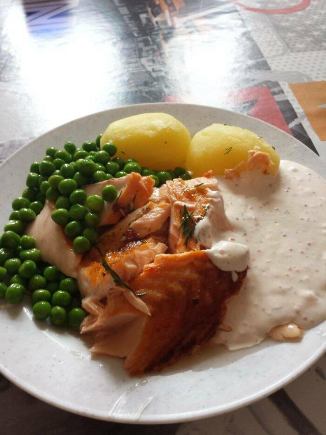 School Lunches In Different Countries (30 pics) School Lunches In Different Countries (30 pics)