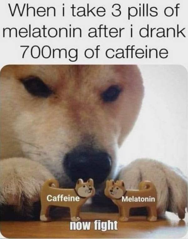 Random Memes (29 pics)