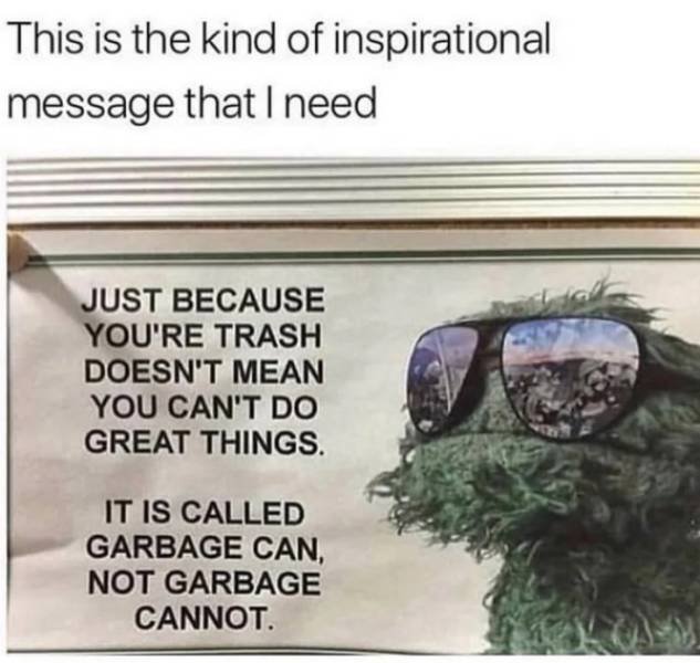 Random Memes (29 pics)