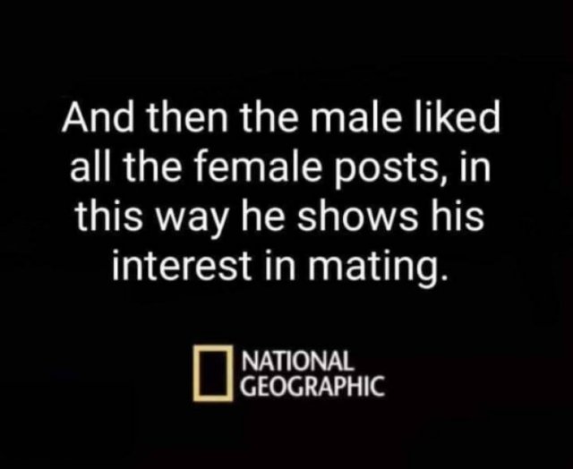 Random Memes (29 pics)