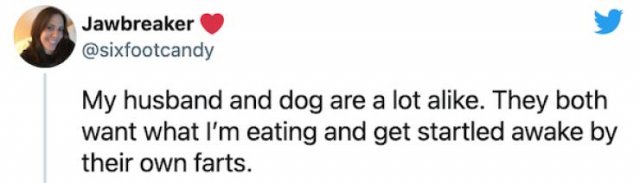Jokes About Married Life (26 pics)