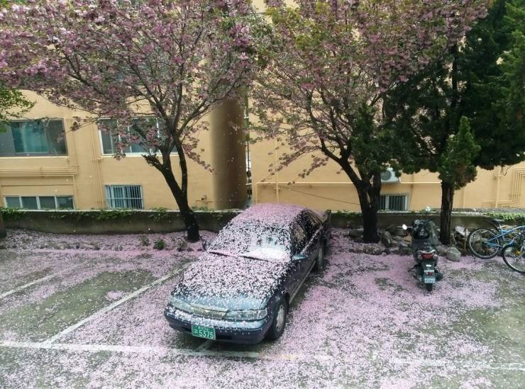 Daily Pictures. Part 1 (74 pics)