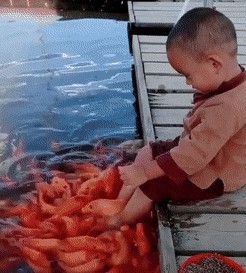 Acid GIFs, February 2 (25 gifs)