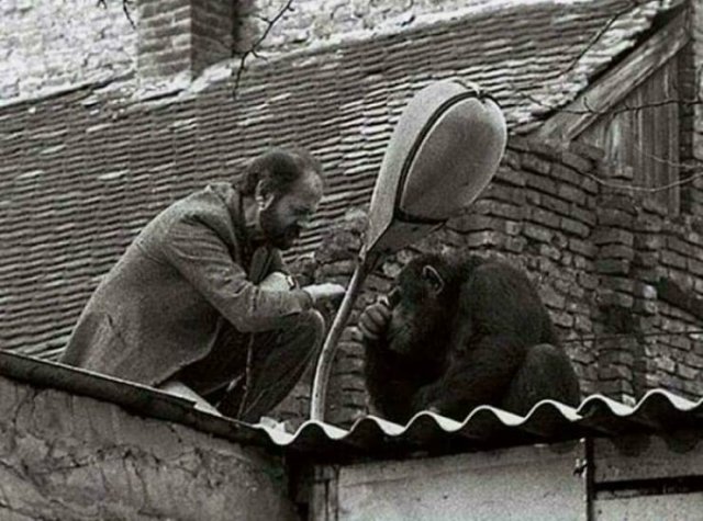 Historical Photos (40 pics)